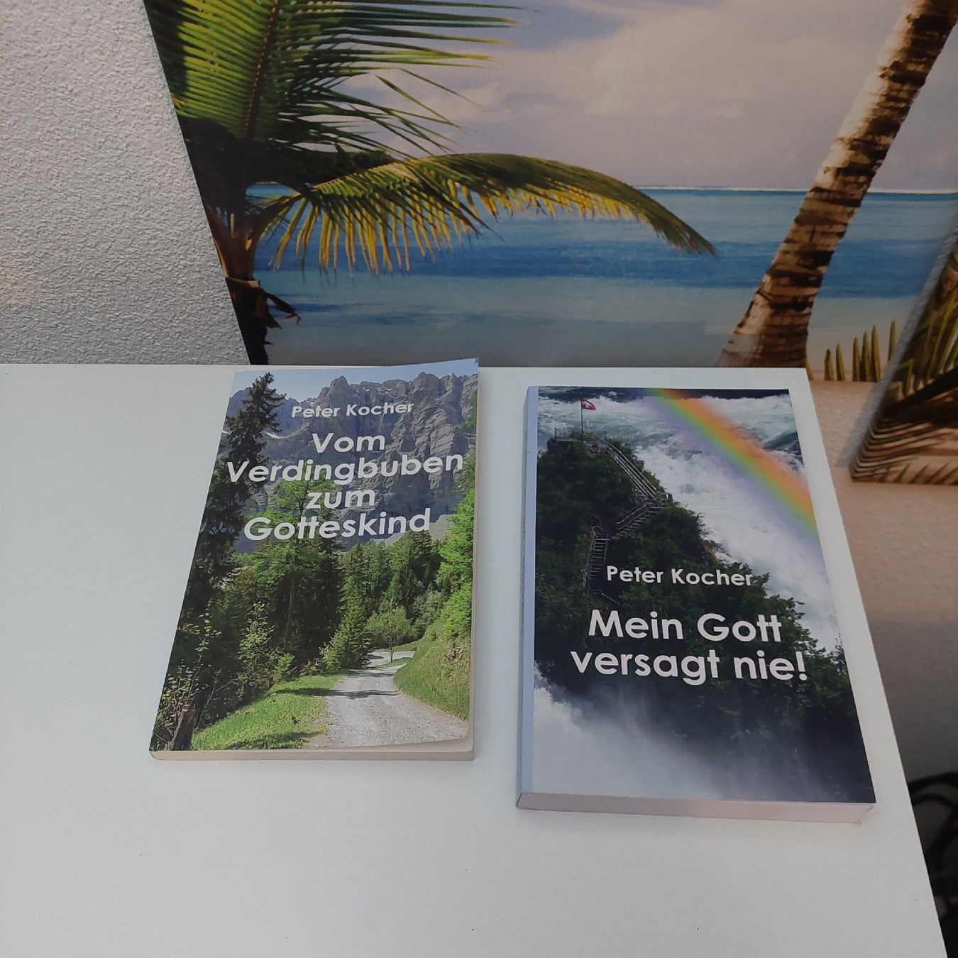 Bücher: Vom Verdingbuben zum Gotteskind – Gebraucht aus Belp von masterdriftking