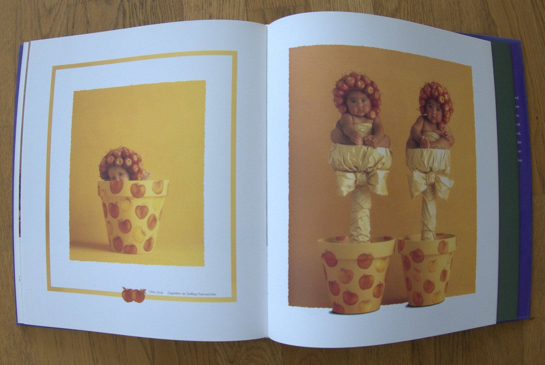 Libri: Anne Geddes "Drunten im Garten" Fotobuch – Usato da Rheinfelden venduto da bigi0956 4