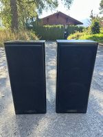 Enceinte Pioneer
