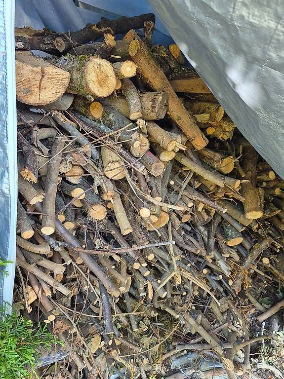 Articoli in legno: Viel Holz – Usato da Unterentfelden venduto da Mo.St 2