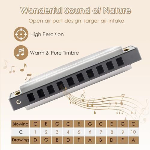 Musikinstrumente: Blues Mundharmonika – Neu und originalverpackt aus Hundwil von pak_7zvn 3