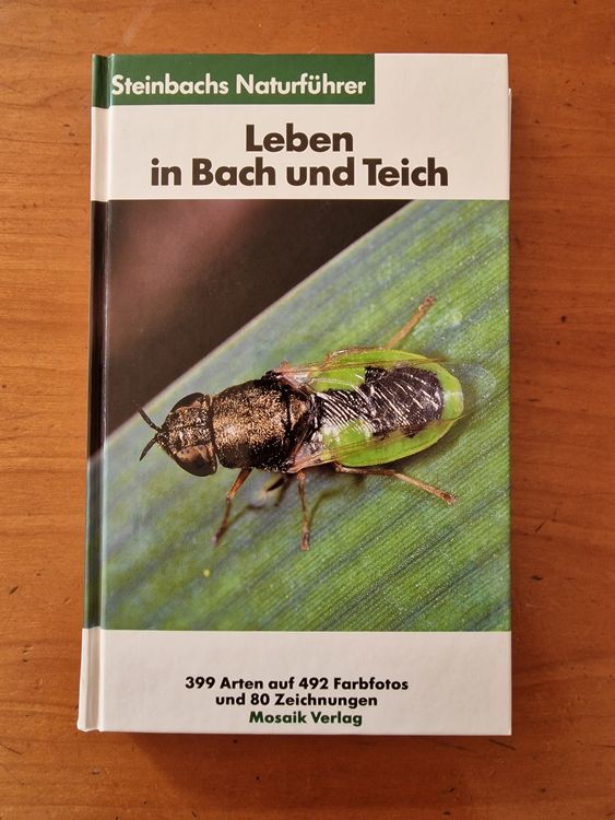 Leben in Bach und Teich (Steinbachs Naturführer) Kaufen auf Ricardo