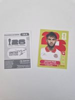 Panini Sticker TUN5