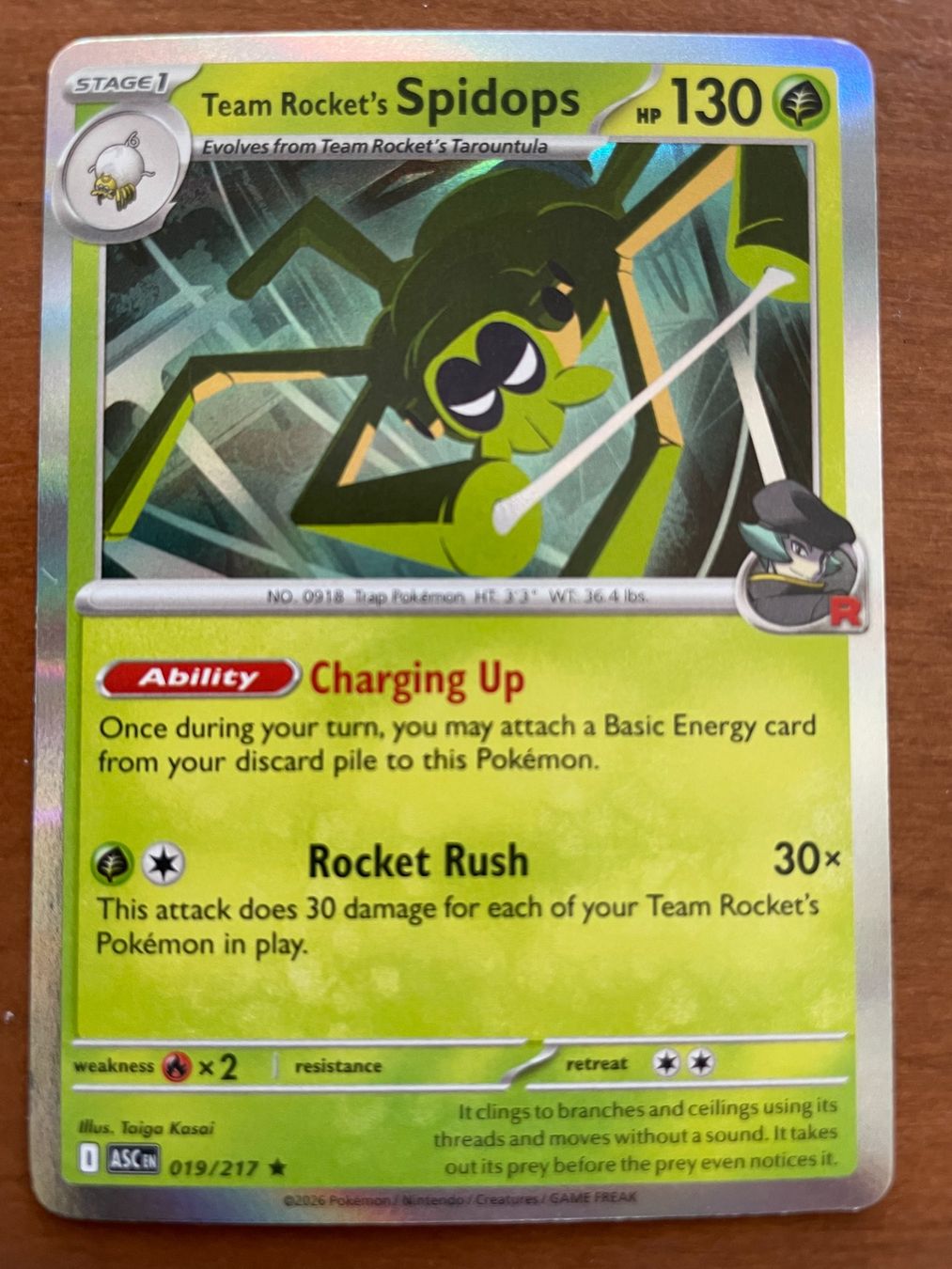 Pokémon Carte collezionabili: Pokemon Team Rocket's Spidops Holo (Versand gratis) – Nuovo (secondo la descrizione) da Chur venduto da Angerson