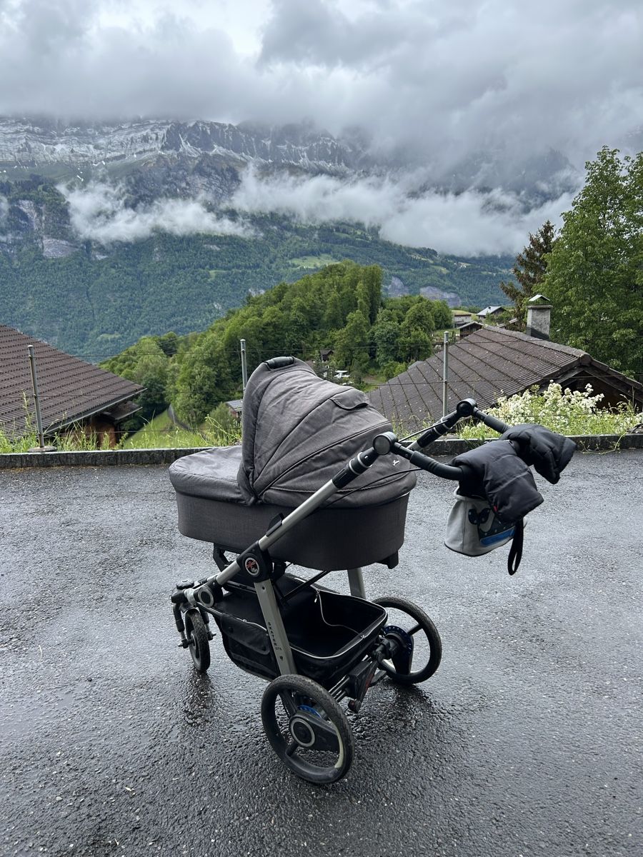 Hartan Carrozzine: Hartan Kinderwagen Buggy – Usato da Oberterzen venduto da ram_5gb7 4