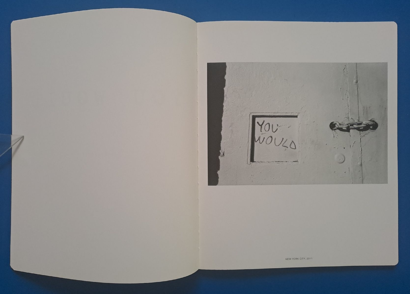 Libri: Robert Frank: YOU WOULD EA 2012 Steidl Top erhalten.  – Usato da Zürich venduto da archiphil 2