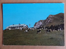Chalet du Gros Plané et le Moléson