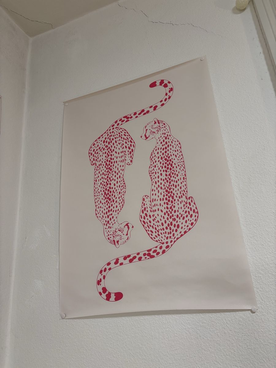 Foto & Immagini: Posters 40*60 cm – Usato da Zürich venduto da dem_7nxr 3