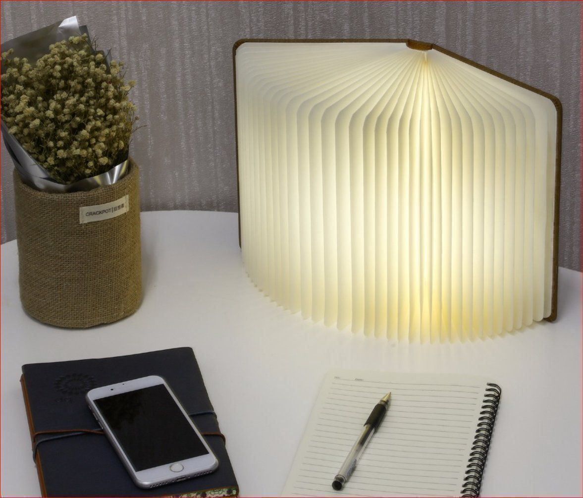 Lampade: Buchleuchte LED hell weiss und warmweiss – Nuovo e nell'imballaggio originale da Burgdorf venduto da XJ6 2
