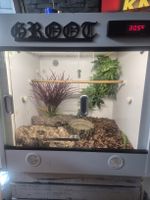 Terrarium mit Beregnungsanlage und Heat panel.