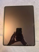 Apple iPad Air 13 M2  256 GB  Wi-Fi + Cellular  2024