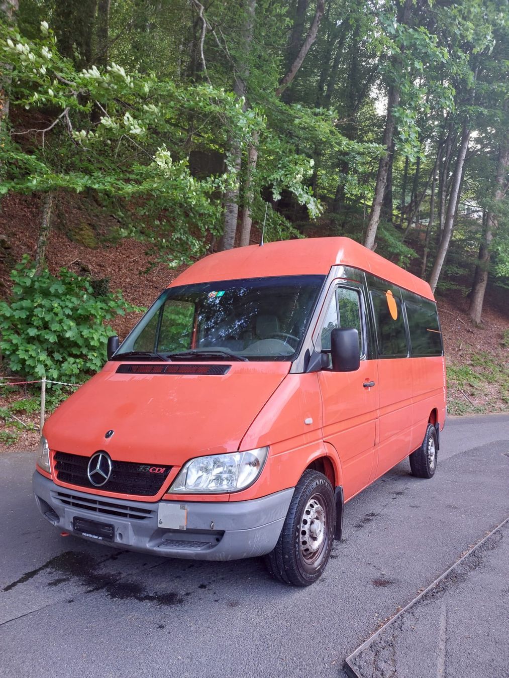 Mercedes-Benz Véhicules utilitaires: Mercedes 313 – D'occasion à Unterseen par Fremar