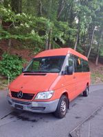 Mercedes 313