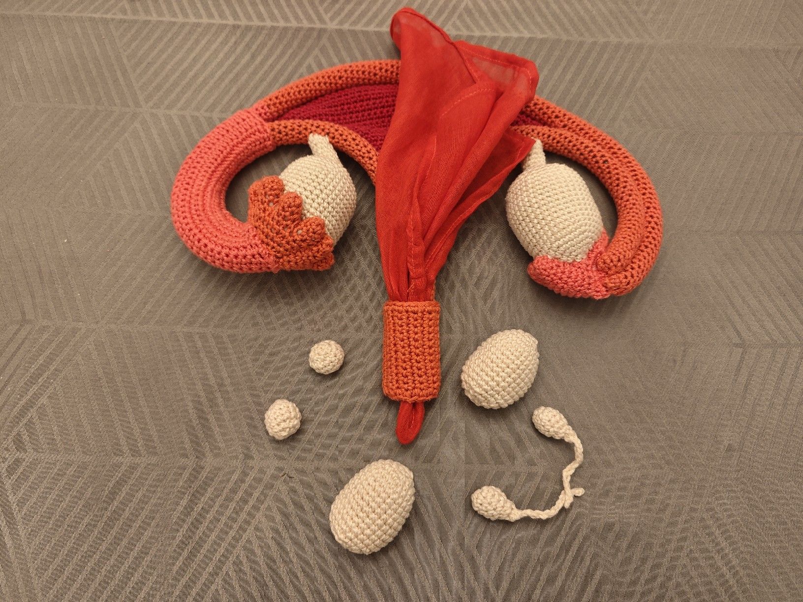 Kit di modellismo & Modellini statici: Gebärmutter Sexualpädagogisches Material – Nuovo e nell'imballaggio originale da Romanshorn venduto da topolino91