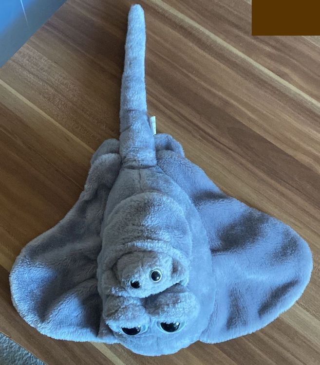 Rochen mit Baby (Gebraucht) in Wagenhausen für CHF 29.95 – mit ...