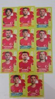 Panini Sticker: Türkei