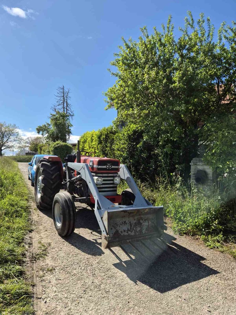 Massey Ferguson Traktoren: Tracteur MF 165 avec Frontal  – Gebraucht aus St-Aubin FR von paj_5vn2 7