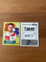 Panini CRO 17