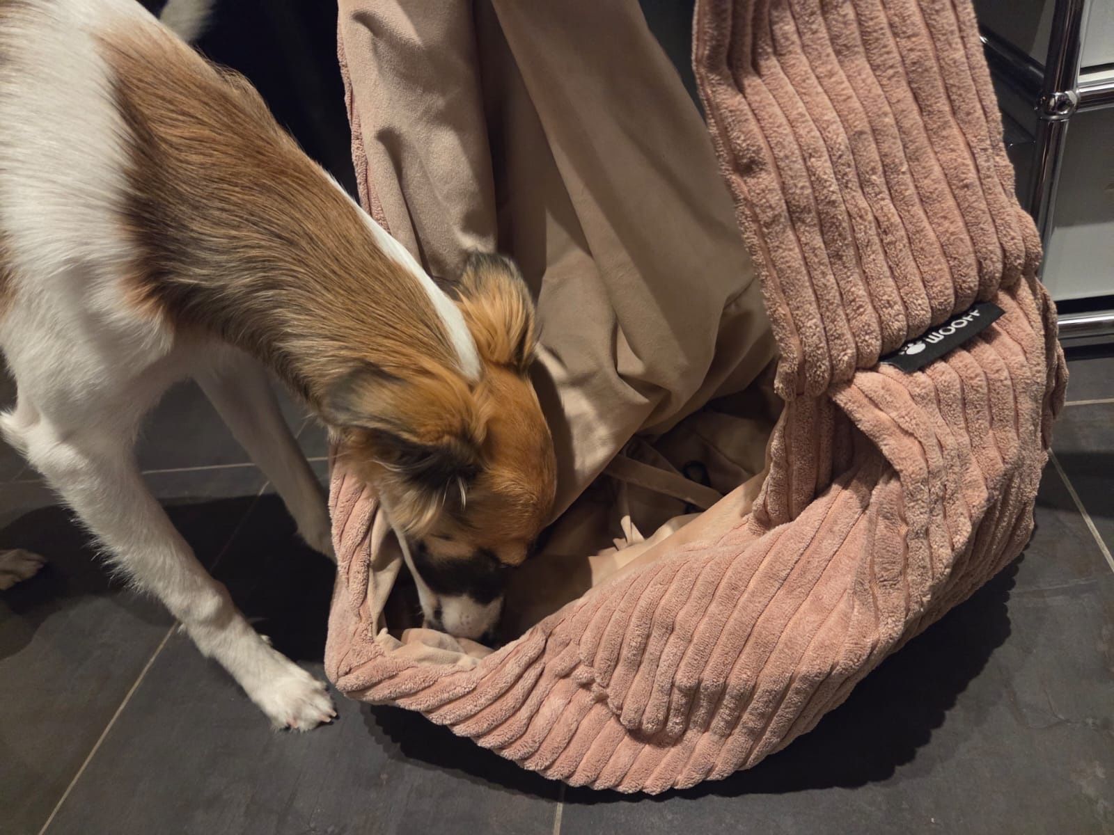 Taschen: Hundetragebeutel WOOFF rosa neuwertig – Gebraucht aus Gümligen von veruskakozlov 2
