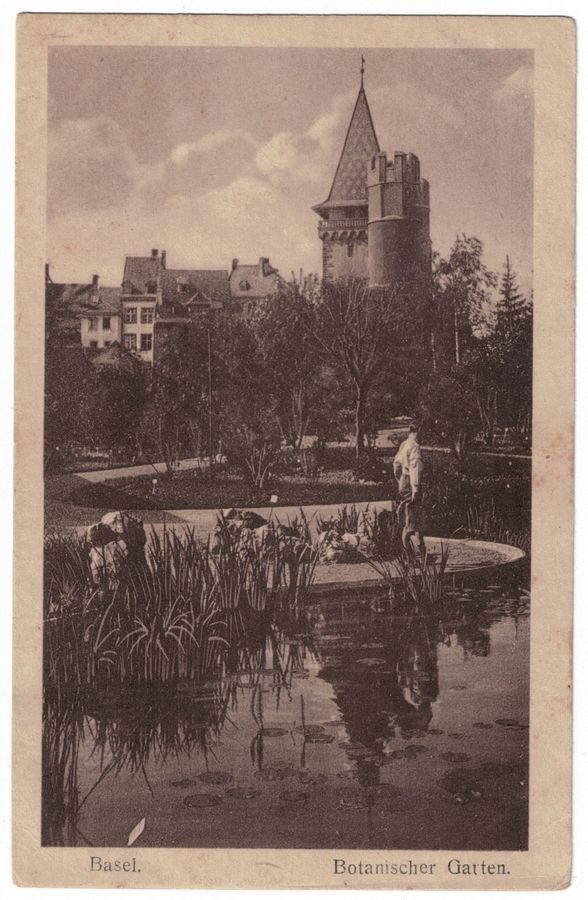 Cartoline postali: Basel, Botanischer Garten, gelaufen 1923 – Usato da Frauenfeld venduto da POML