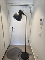 Lampada