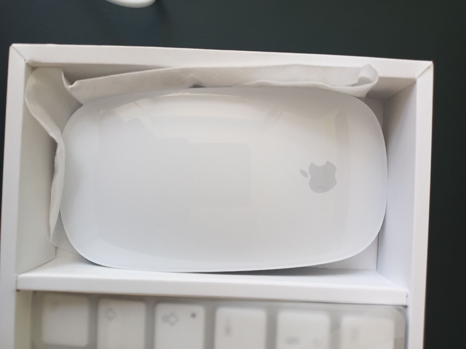Apple Tastiere: Apple Magic Keyboard und Maus 2019 neuwertig – Nuovo (secondo la descrizione) da Zürich venduto da manolo23 3