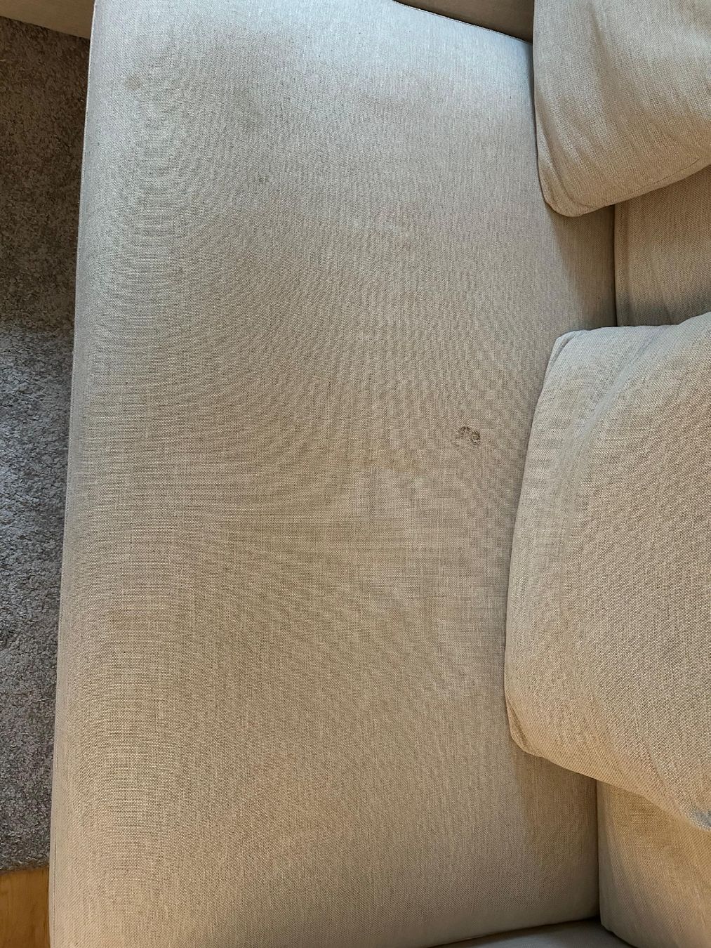 Sofas: Beiges Pfister Sofa – D'occasion à Dietikon par cel_vm8p 3