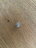 Pandora Charm