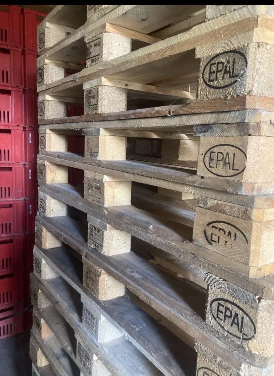 Pallets: Paletten – Usato da Egerkingen venduto da Jung-Unternehmer 1