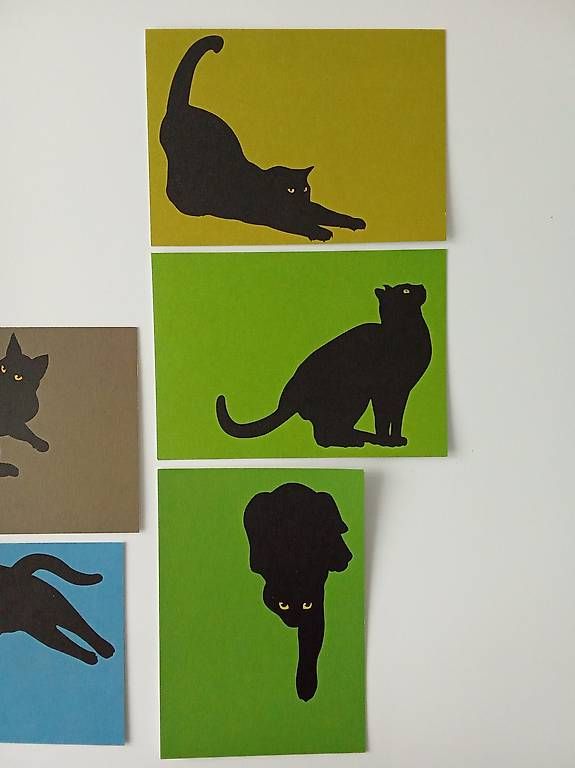 Cartoline postali: 8 Postkarten mit Katzen-Motiven – Nuovo (secondo la descrizione) da Rothrist venduto da derailed1987 2
