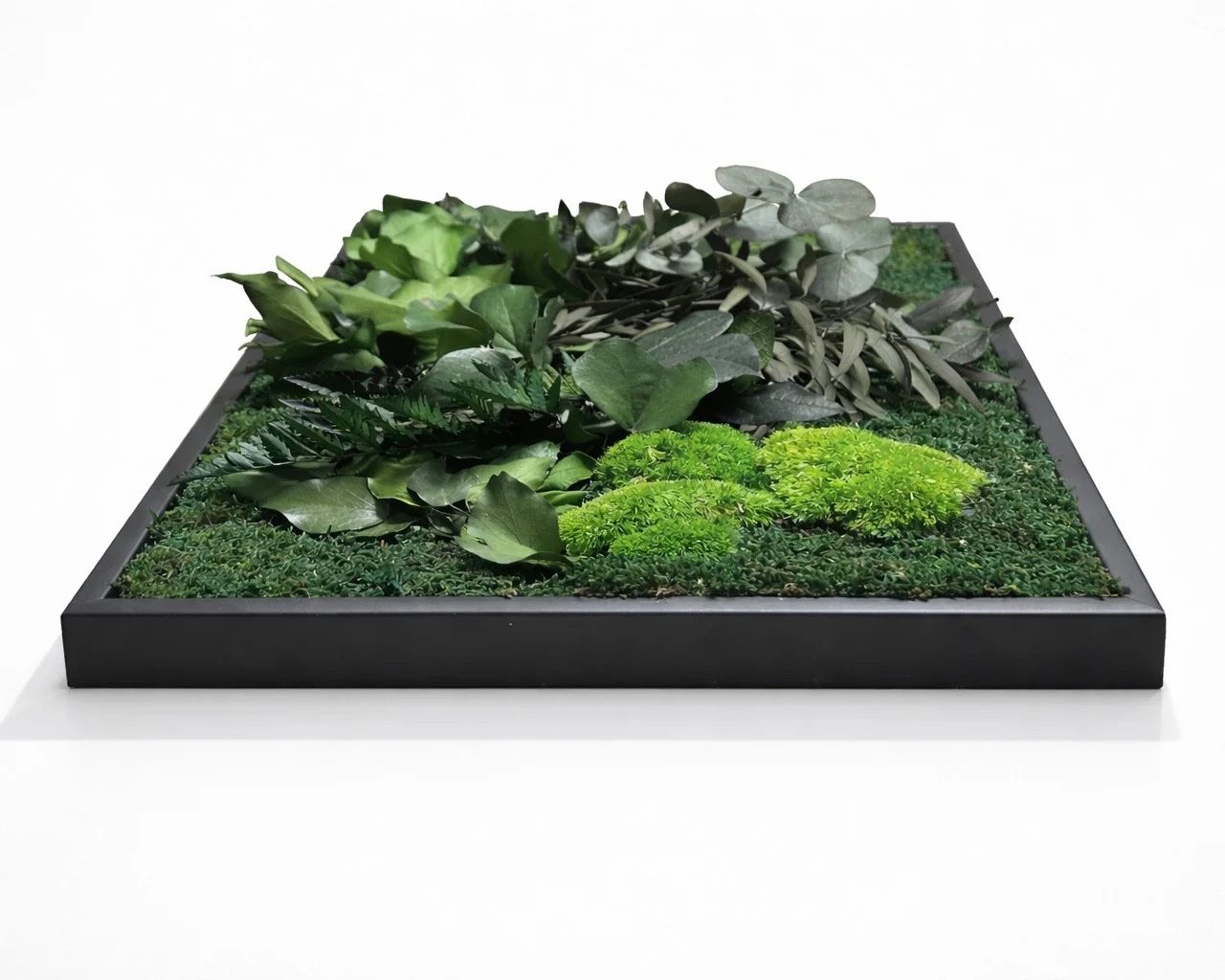 Tutte le decorazioni: Tableau jungle 115x40 noir – Nuovo (secondo la descrizione) da Montreux venduto da hev_mv5m 2