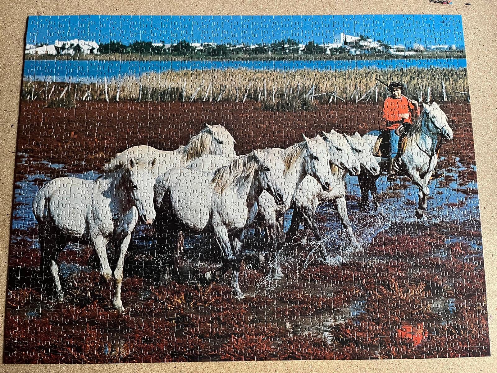 Puzzles: Puzzle 1500 Pferde in der Camargue – Gebraucht aus Rafz von Powacaddy 1