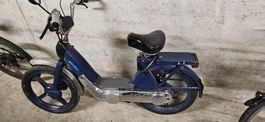 Mofa Piaggio Ciao, bereit für den Sommer? Eingelöst.