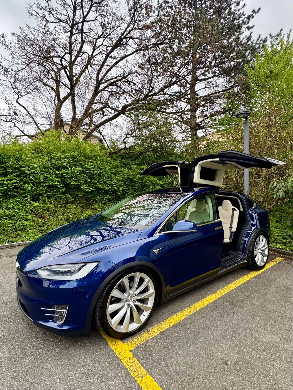 Tesla Autos: Tesla Model X 100 D 7 Plätzer sehr selten – Gebraucht aus Nebikon von kau_2bfl