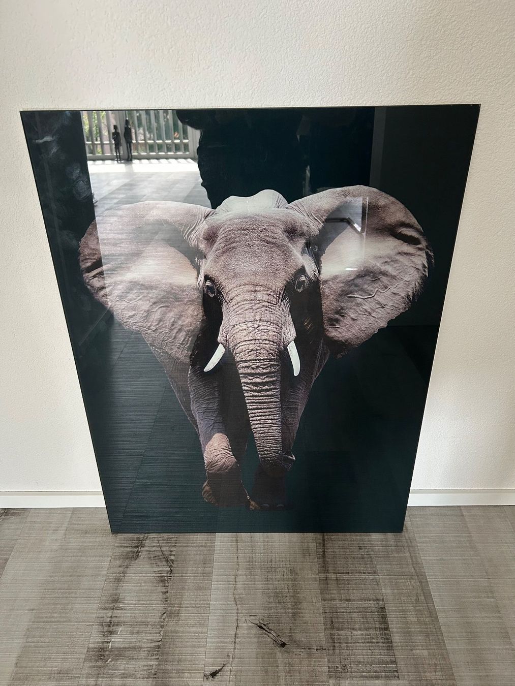 Foto & Immagini: Afrika Glasbild gross – Usato da Wängi venduto da Argon180