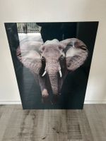Afrika Glasbild gross