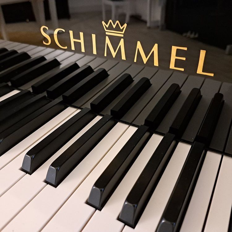 Strumenti musicali: C 189 schwarz poliert - Ausstellungsmodell – Nuovo (secondo la descrizione) da Ittigen venduto da KrompholzMusik 1