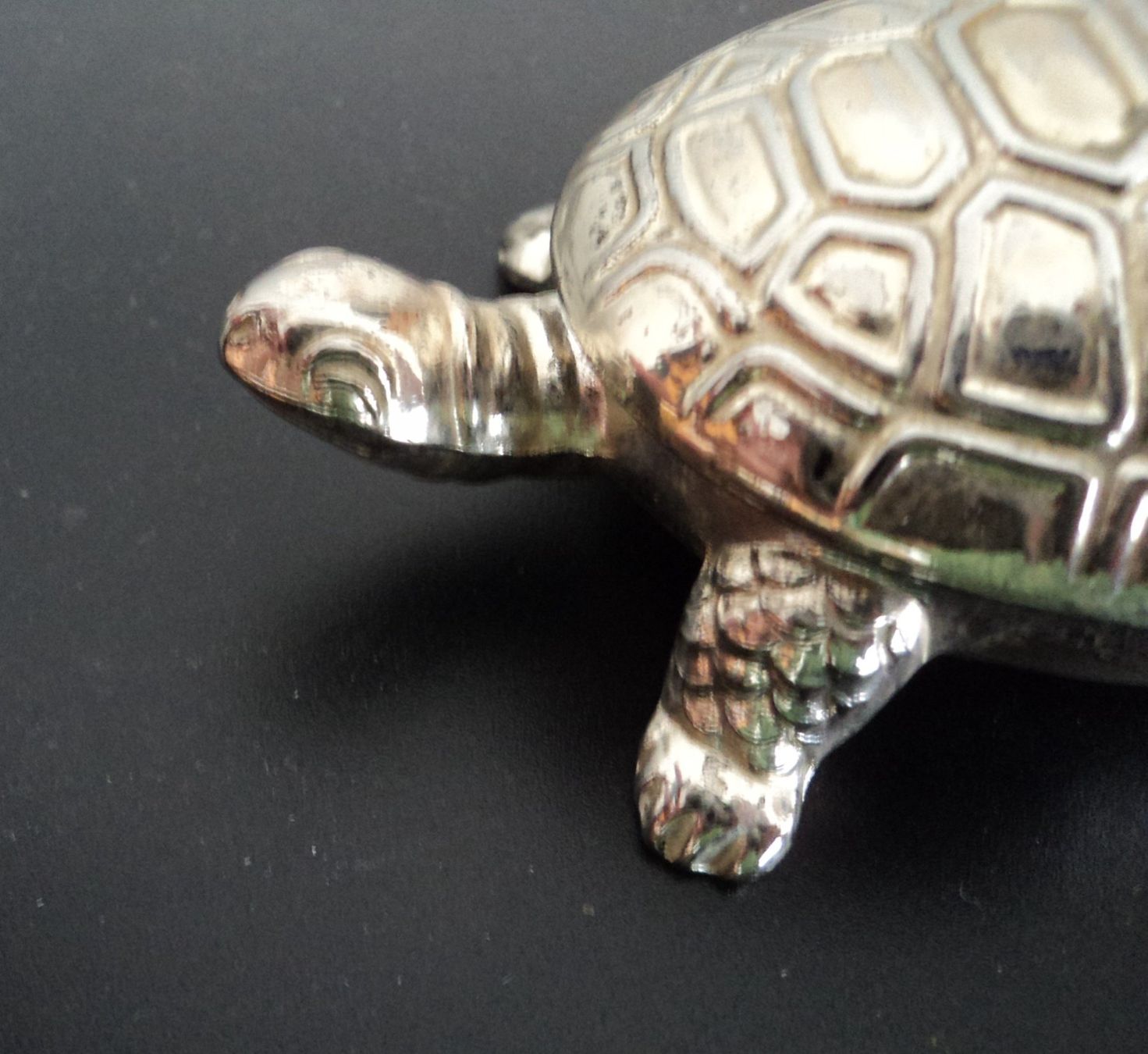 Contenitori & Simili: Vintage Schildkrotendose – Usato da Basel venduto da maripas17 1
