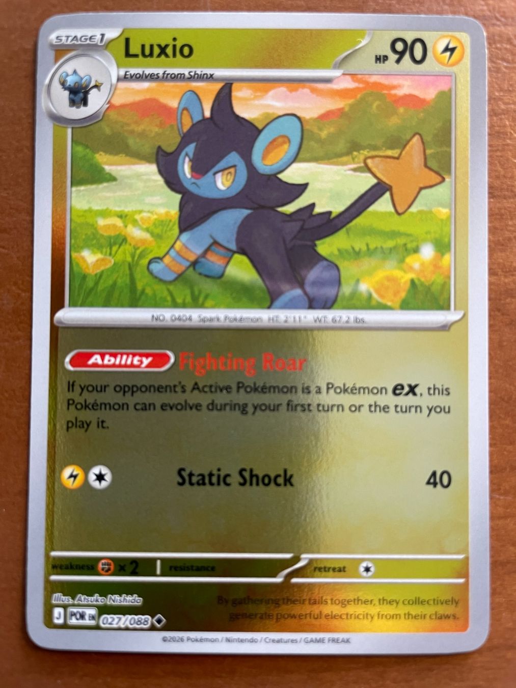 Pokémon Carte collezionabili: Pokemon Luxio Reverse (Versand gratis) – Nuovo (secondo la descrizione) da Chur venduto da Angerson