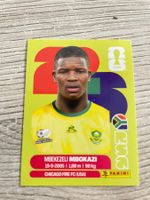 Panini Sticker - Mbekezeli Mbokazi