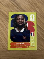 Panini 2026 FRA 11