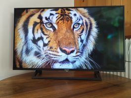 TV Sony 43 inch - KD-43XE8005