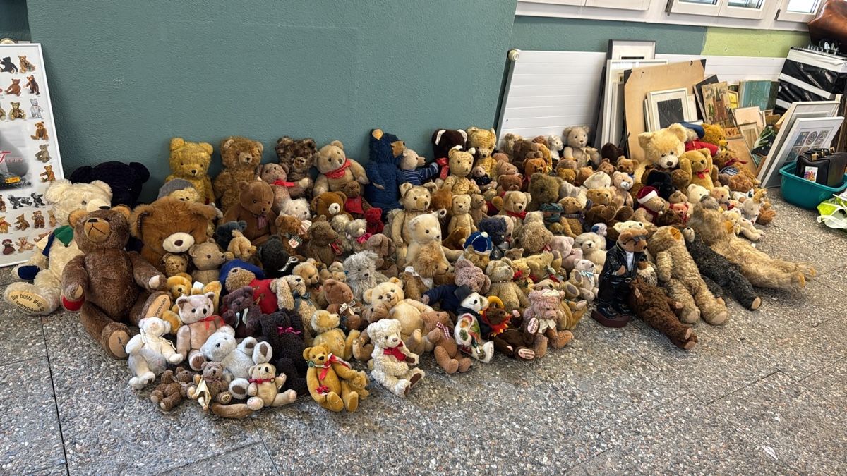 Bambole: Plüschtiere Teddybären – Usato da Kollbrunn venduto da Jani2015 4