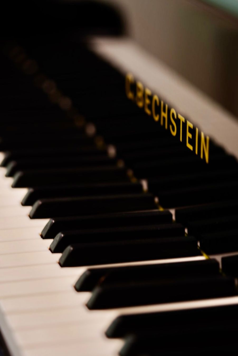 Instruments de musique: Flügel C.Bechstein B-203 – D'occasion à Spiez par eni_lvq7 1