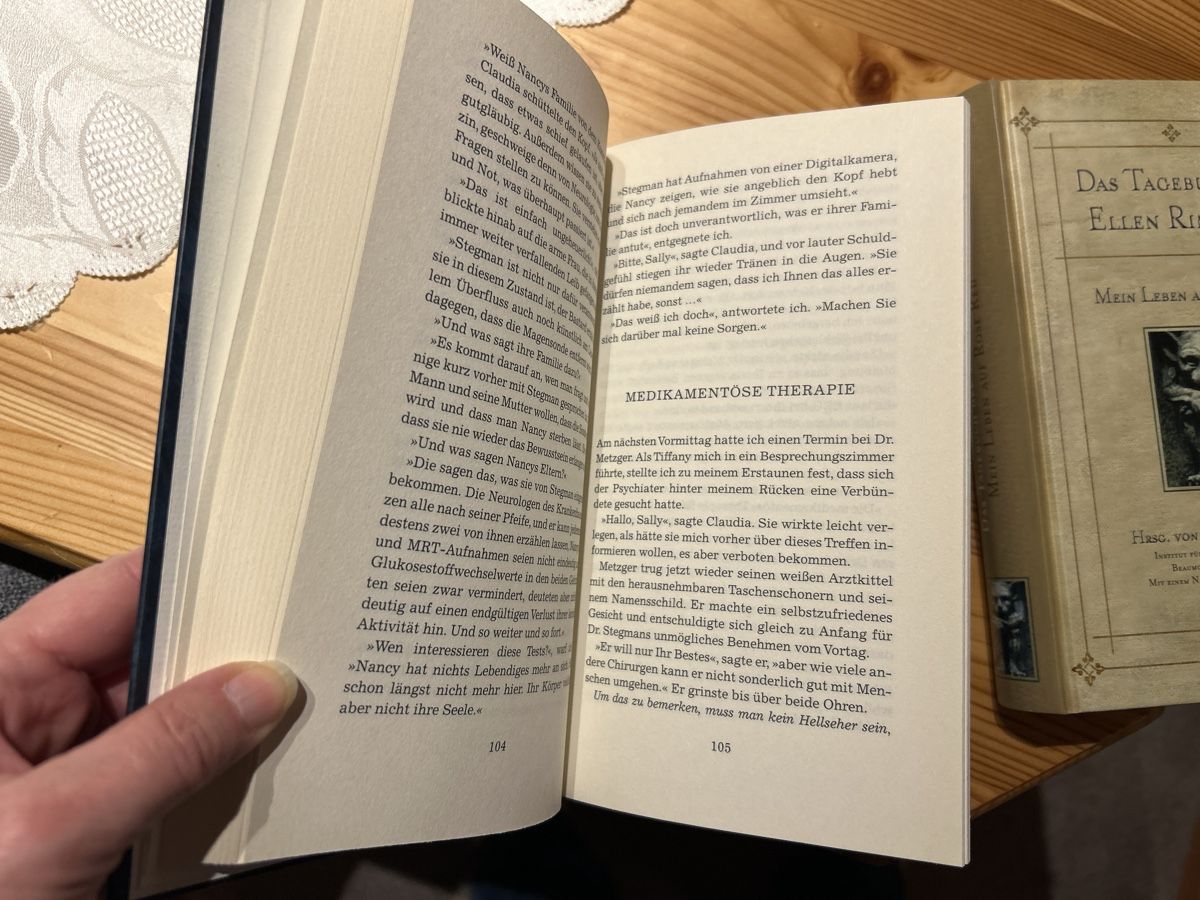 Libri: Stephen King: Das Tagebuch der Eleanor Druse, – Usato da Brunnen venduto da Liluzick 2