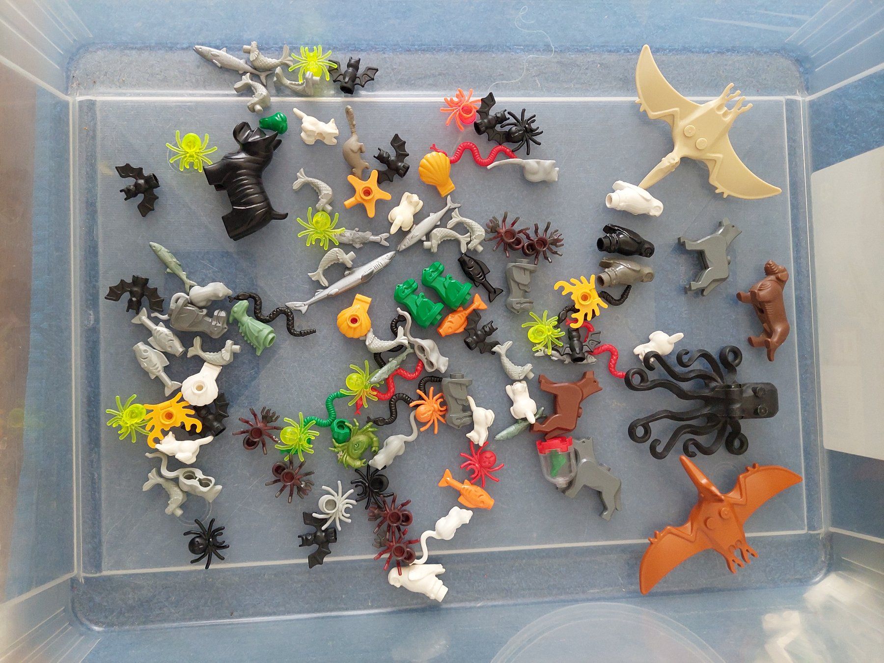 Lego Baukästen: Lego Tiere Bitte Bilder ansehen – Gebraucht aus Altenrhein von schalumpfi