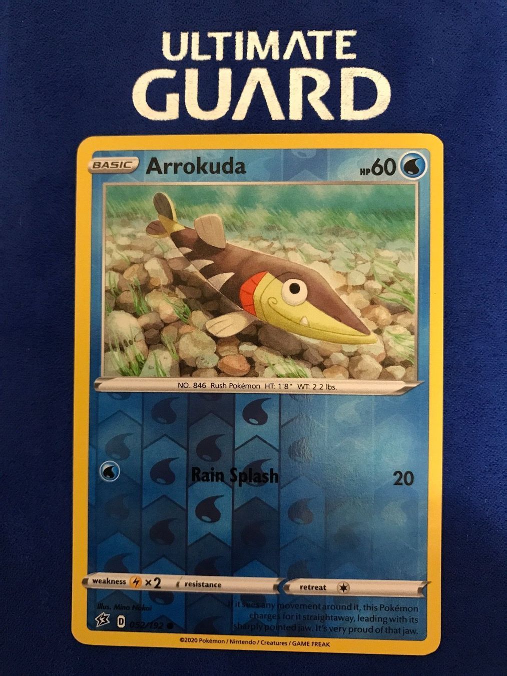 Pokémon Sammelbilder & Trading cards: Pokemon TCG - Arrokuda EN reverse Holo – Neu (gemäss Beschreibung) aus Lyss von DeaDiLuna