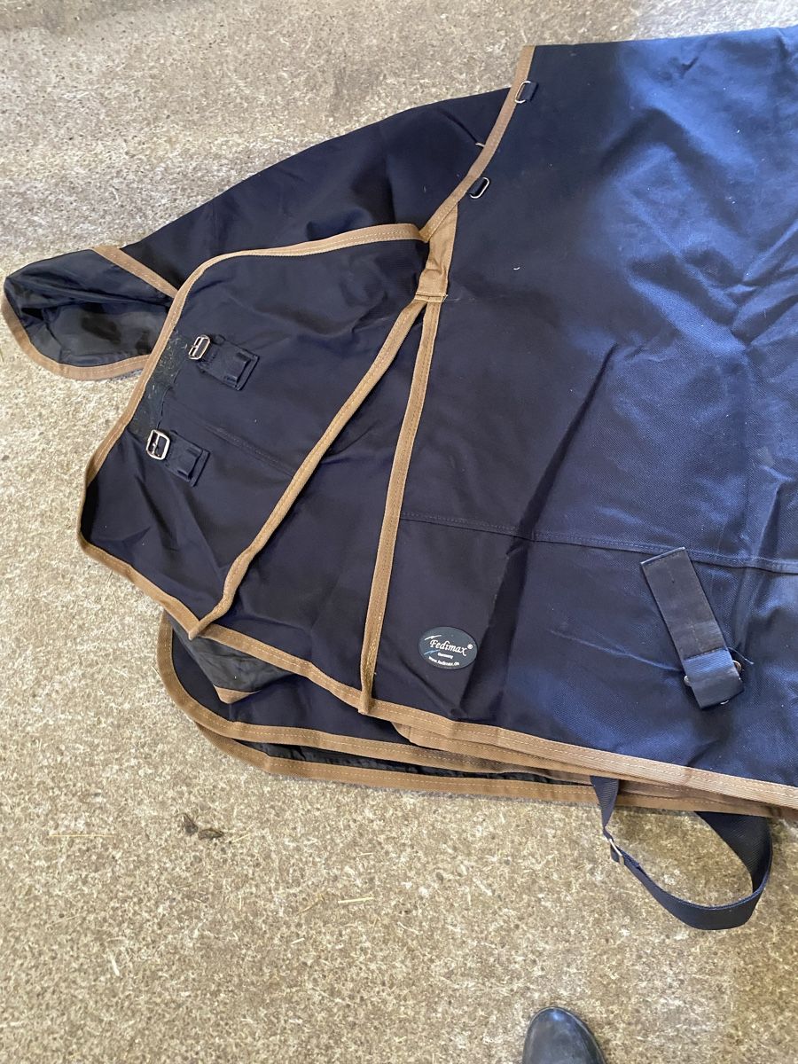Felix Bühler Coperte & Accessori: Pferdewinterdecke 200g – Nuovo e nell'imballaggio originale da Lenggenwil venduto da ale_r8nj 3