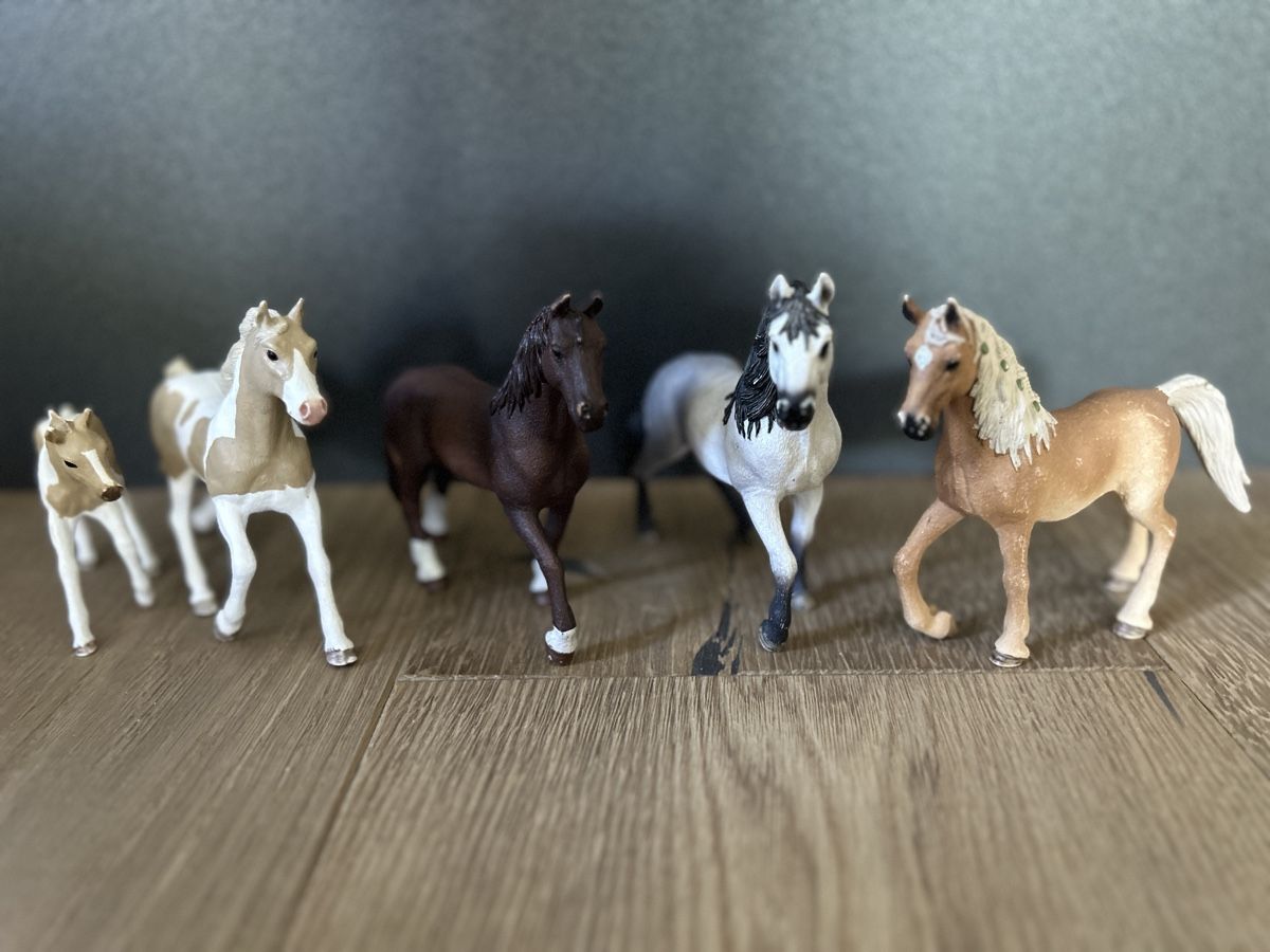 Schleich Giocattoli: Schleich Pferde – Usato da Winterberg ZH venduto da Amina023