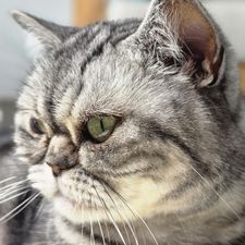 Profile image of SimiSan85